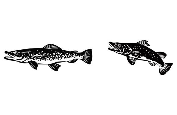 Download River Pike Fish Illustration - Fish illustration Collection