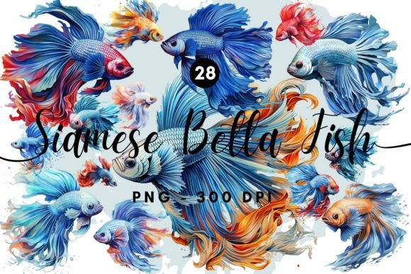 Download Siamese Betta Fish Illustration Clipart - Fish illustration Collection