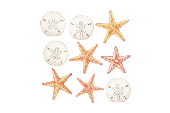 Download Sand Dollar and Starfish Ocean Artwork - Ocean Collection