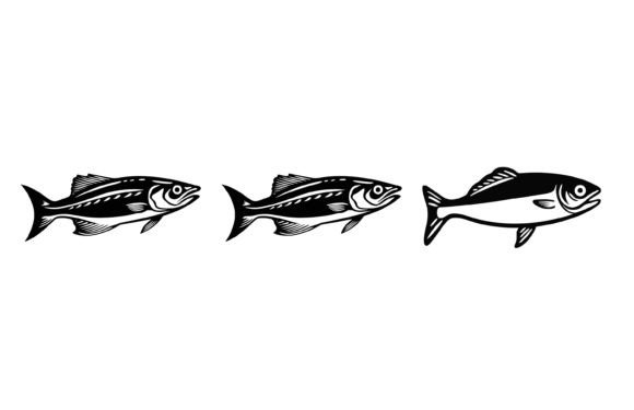 Download River Sardine Fish Illustration - Fish illustration Collection