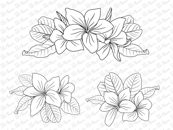 Download Flowers Line Art Arrangements - Arrangements Collection