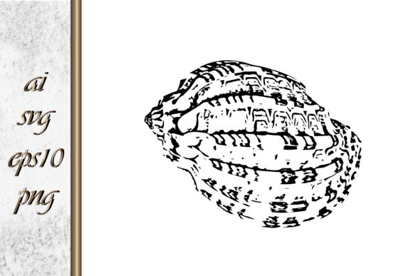 Download Doodle Shellfish Hand Drawn Sketch Vecto - Doodle Collection