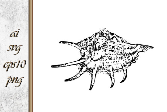 Download Doodle Shellfish Hand Drawn Sketch Vecto - Doodle Collection